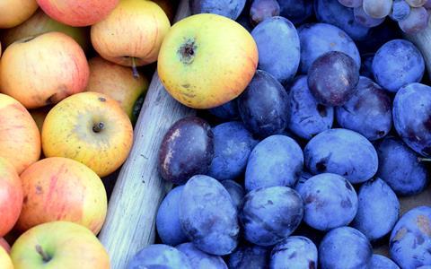 230818-apfel zwetsche-berty adobestock