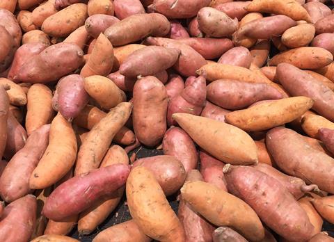 GEN Sweet potatoes AdobeStock_106166488