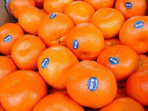 There are renewed opportunities to export Australian mandarins to the UK after an 18 per cent tariff was eliminated