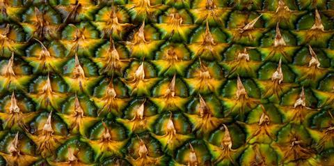 Volodymyr_AdobeStock_501673895