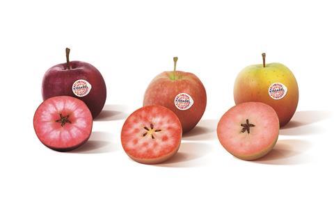 The UK is the first market where the full range of Kissabel apples is available