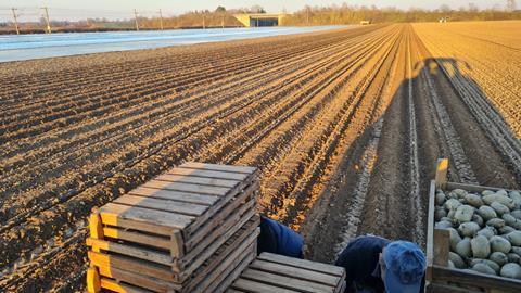 Niedersachsen Einbringung der Kartoffeln