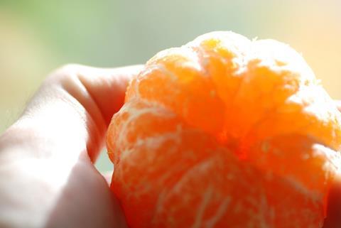 Spanien: Mandarinensorte Orri verdoppelt Vermarktungsvolumen