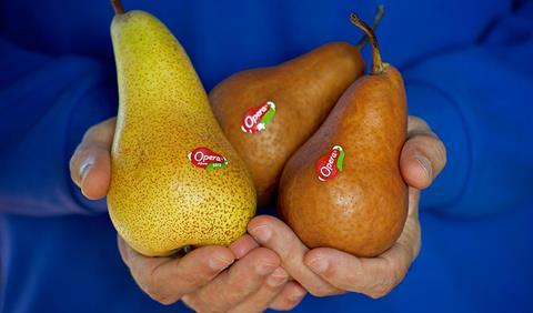 Opera pears