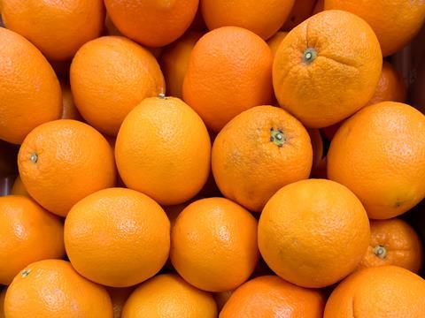Pile of fresh Navel oranges Adobe