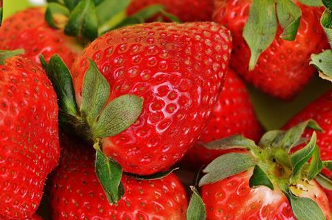 Neben Citrusfrüchten sind Erdbeeren ein wichtiges Exportprodukt.  Foto: Pixabay