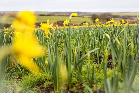 Cornwall's Varfell Farms has joined the LEAF network of demonstration farms