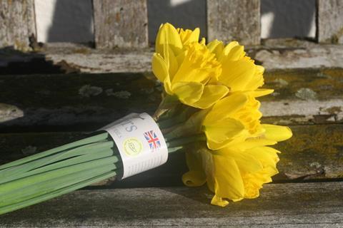 The farm is a world-leading producer of daffodils