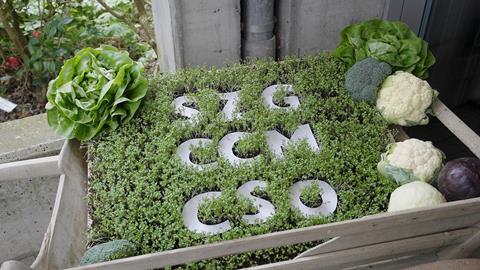 Foto: Schweizerische Zentralstelle für Gemüsebau und Spezialkulturen