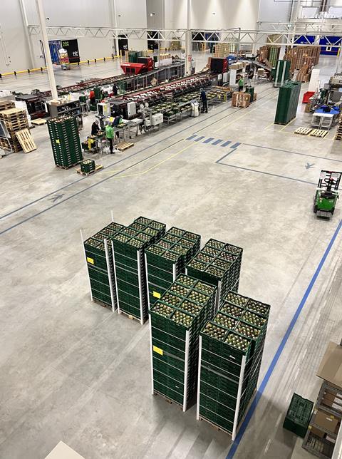 TFC Holland packing line