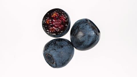 Bilberry