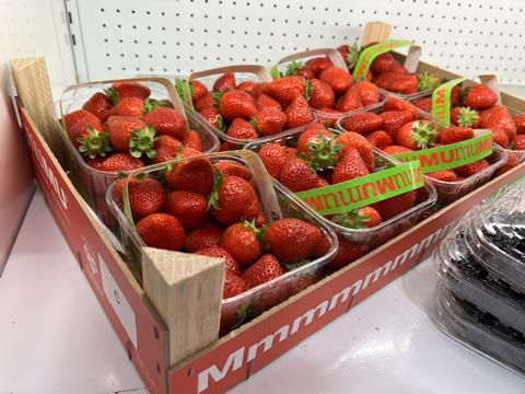 El Pinar strawberries