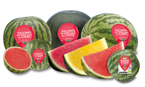 Anecoop erwartet 150.000 Tonnen Wassermelonen Bouquet