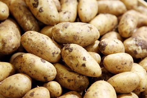 Rabobank: Internationaler Kartoffelmarkt wächst weiter