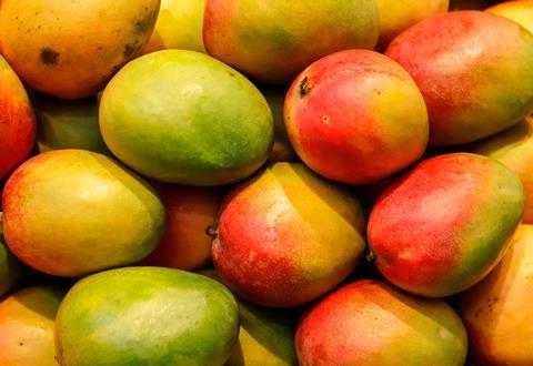 GEN mangoes AdobeStock_196999091.jpeg.crdownload