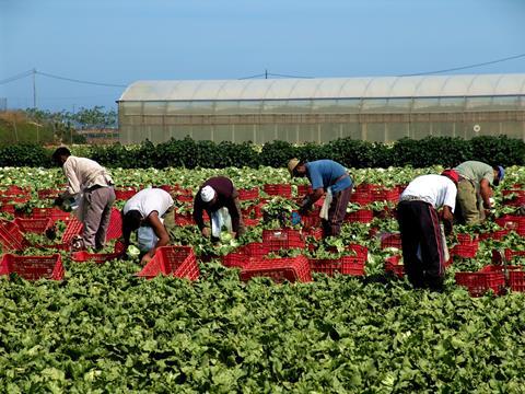 Migrant workers