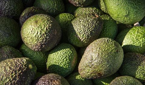 Hass avocado
