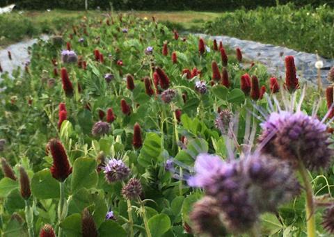 Sessions will be delivered by advisors from farming charity the Soil Association