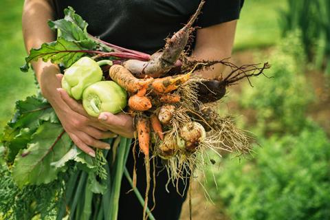 Organic vegetables