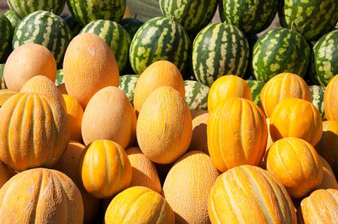 Kazakhstan melons AdobeStock_359205518