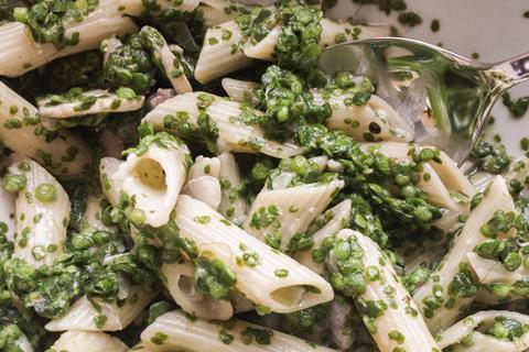 960d83d0-bfcc-4155-bbaa-ce83ff14a437_pasta v2