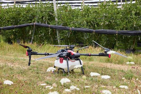 Drones and AI technology investment to meet growing consumer demand for larger and sweeter blueberries