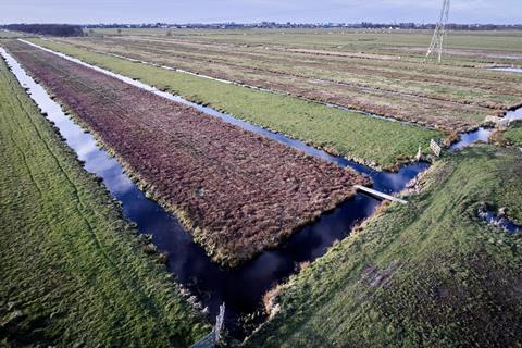 The Canberry Company Eosta production the Netherlands