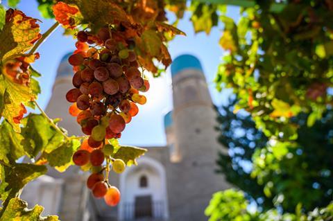 Uzbek grapes