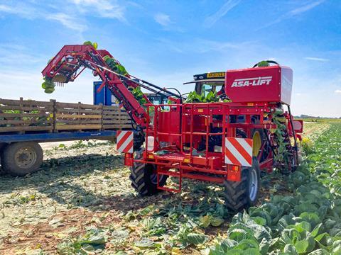 Grimme's Spring Green Harvester