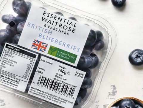 Hall Hunter blueberries