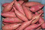 Colruyt: Verkauf belgischer Süßkartoffeln startet im Dezember