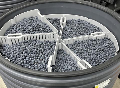 Agrovision RipeLocker blueberries