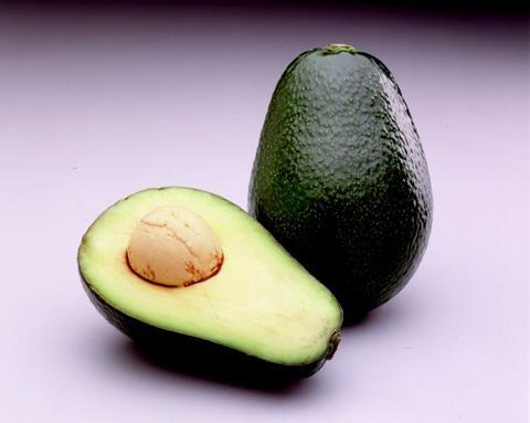 Peru: Talsa plant Verdoppelung der Avocado-Anbaufläche bis 2021
