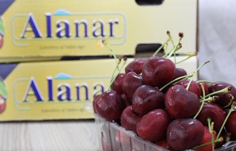 Alanar cherries