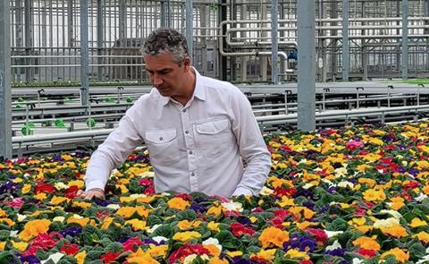 Tesco has cut out peat from bedding plant production