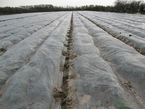Biokunststoffindustrie begrüßt Unterstützung für biologisch abbaubare Mulchfolien