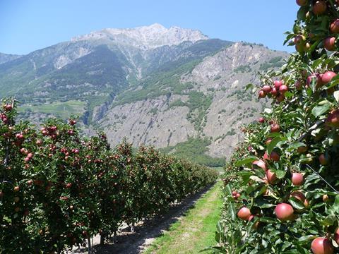 Schweiz: Hoher Lagerbestand bei Tafeläpfeln