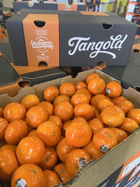 Freshmax has the rights to a range of IP varieties including Tangold mandarins