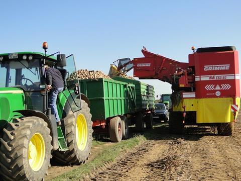Nordwesteuropa: Kartoffelbranche hofft auf sinkende Anbauflächen