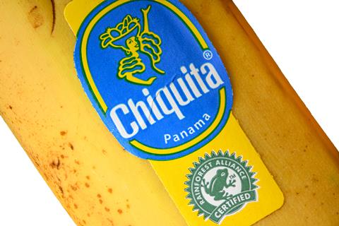 Chiquita banana Rainforest Alliance