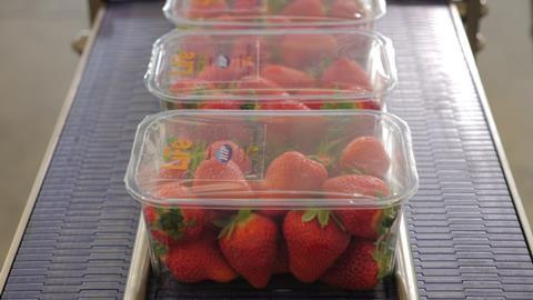 Italien: Europäische Konsumenten bevorzugen verpacktes Obst und Gemüse