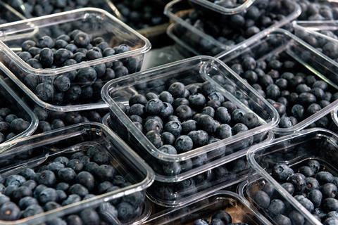 Blueberries in open punnets