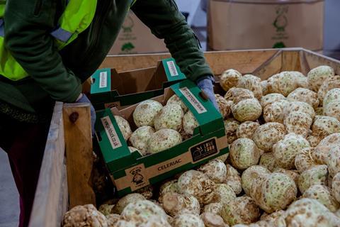Oddbox Oakland celeriac