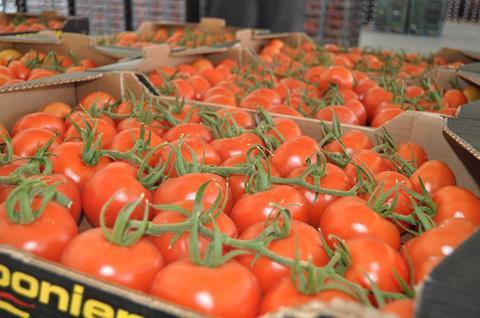 Almería: Kleines Angebot und hohe Nachfrage steigern Tomatenpreise
