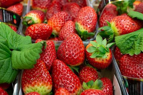 New Covent Garden strawberries