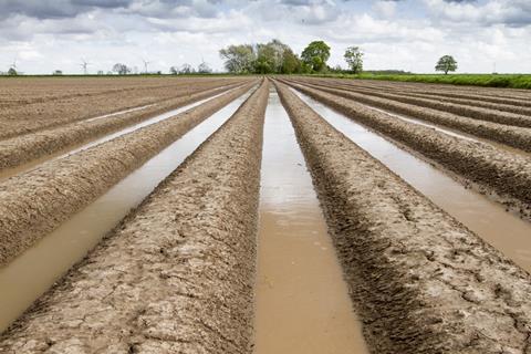 Flooding has badly disrupted this year's potato harvest