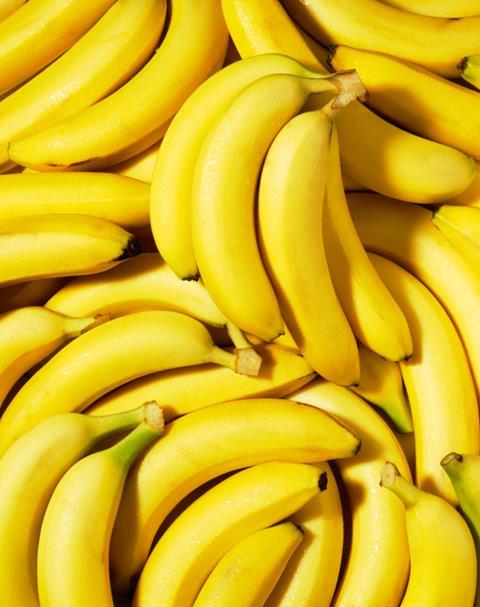 Bananen: DFHV gibt Antworten auf die wichtigsten Fragen zu TR4