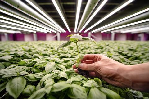 Future Crops vertical farm