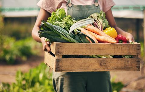 Public concern persists, a year on from the launch of the government's food strategy