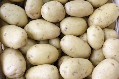 Kartoffeln__sauber_36.jpg